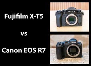 Fujifilm Canon EOS - Head-to-head Comparison | Photography Blog